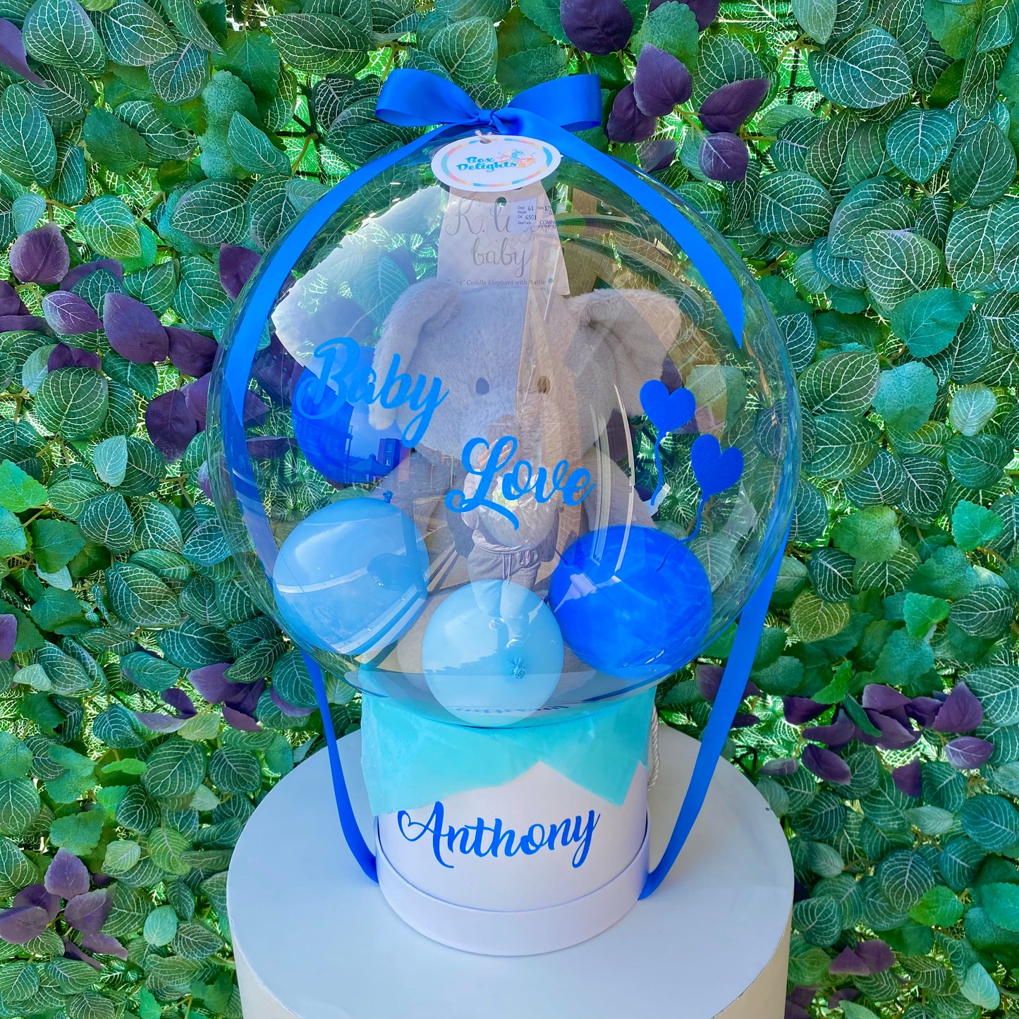 ππα·α©αͺαͺOOα αIα΄Tα αͺα΄αͺIααΌTα π