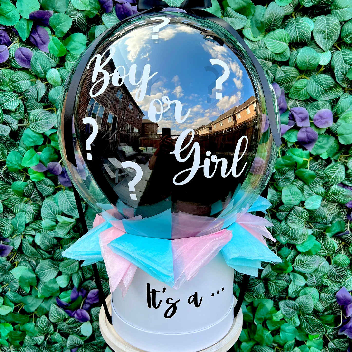 🐣ᘜᗴᑎᗪᗴᖇ ᖇᗴᐯᗴᗩᒪ 🐣