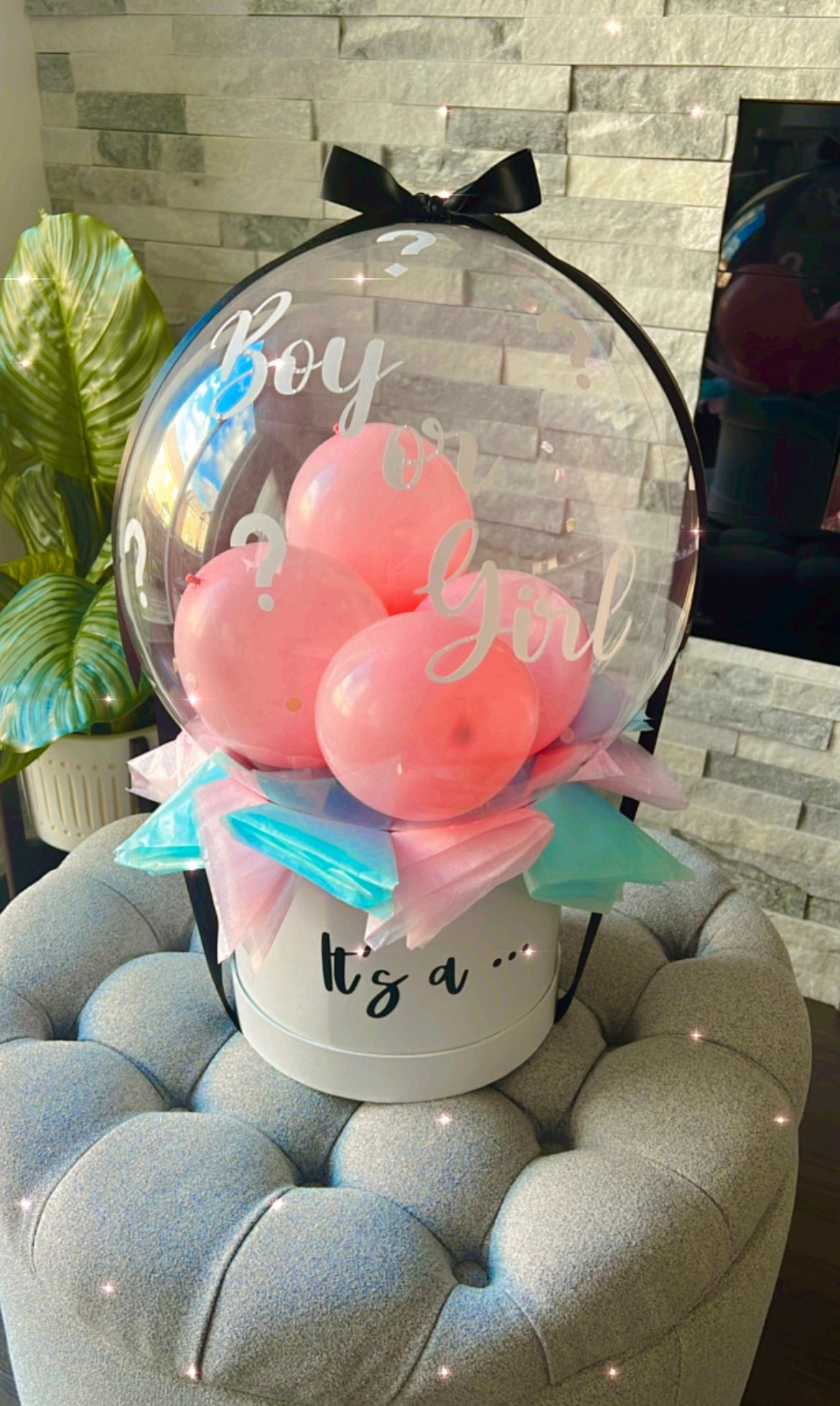 🐣ᘜᗴᑎᗪᗴᖇ ᖇᗴᐯᗴᗩᒪ 🐣