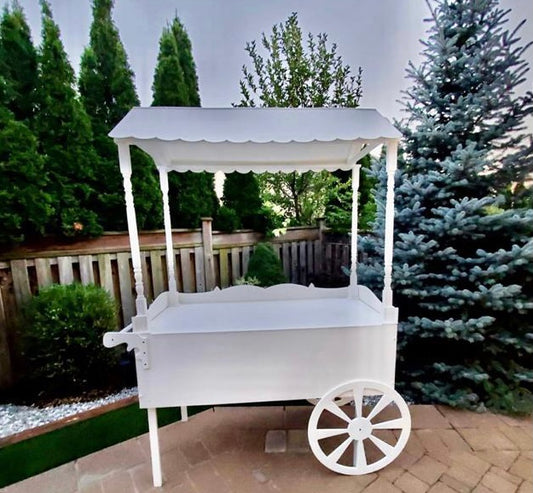 💫🎉ᗯᗩᘜOᑎ ᗪᗴᒪIᘜᕼTᔕ💫🎉